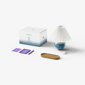 BTS Merch Box #16 INDIGO