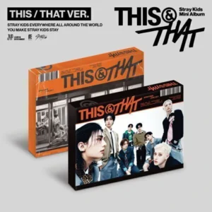 STRAY KIDS | THIS & THAT